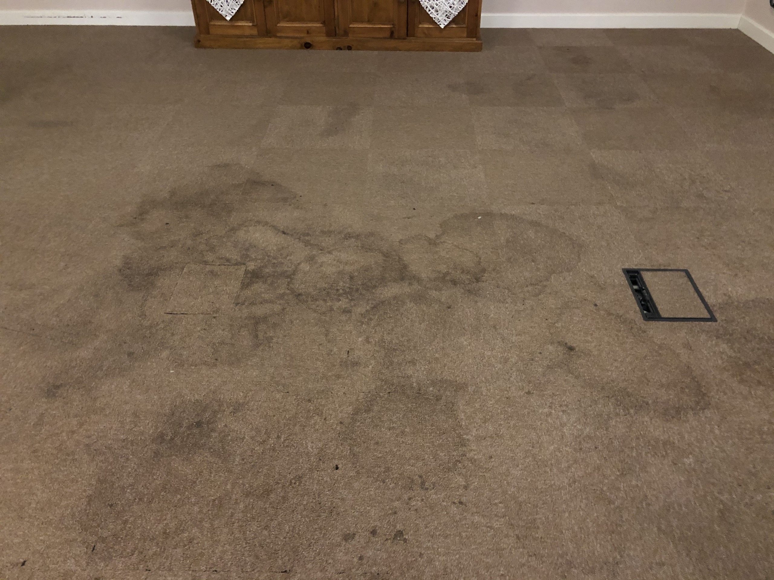 Heavily stained carpet restoration before cleaning